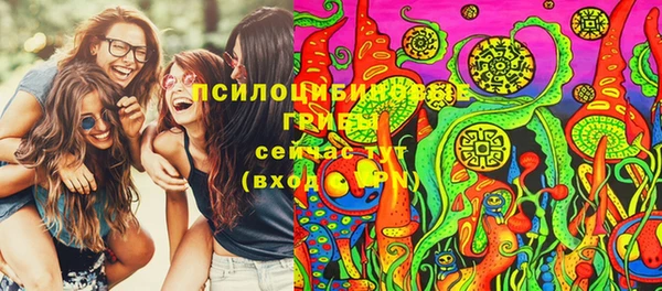 бутират Сатка