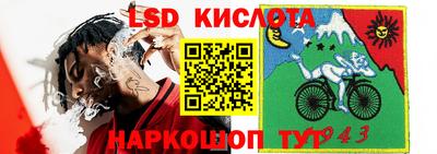 индика Бийск