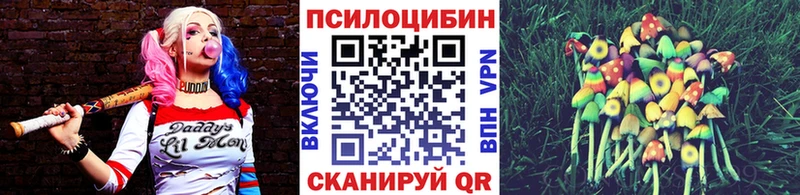 Галлюциногенные грибы мухоморы  хочу   Дедовск 