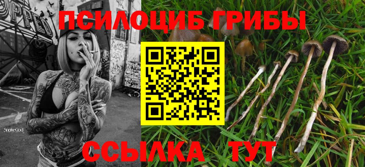 Галлюциногенные грибы мицелий Дедовск